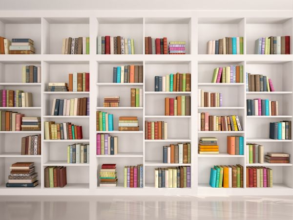Bookshelf Assembly in Saint George